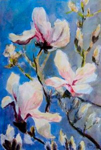 magnolia