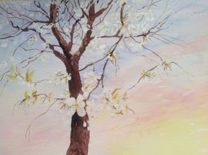 witte kersenbloesem door Mary Smith