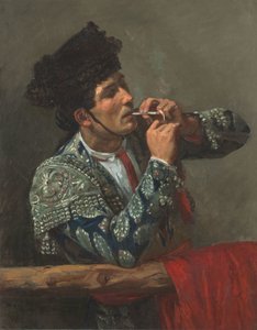 Na de Stierengevecht