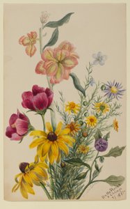 Groep bloemen