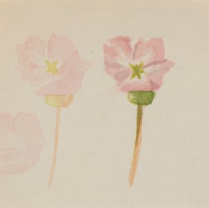 "Mijn eerste schilderij