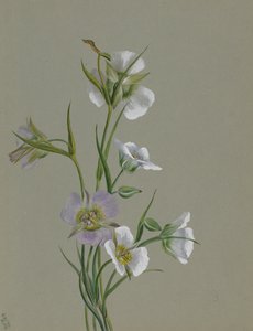 Op weg naar Monument, 1881