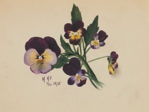 Zonder titel (Viooltjes)