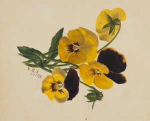 Zonder titel (Viooltjes)