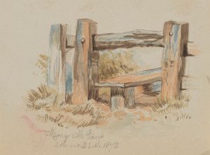 Zonder titel (Stile) door Mary Vaux Walcott