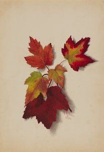 Zonder titel Herfstbladeren, 1874