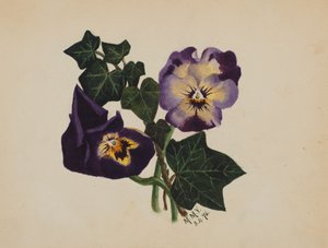 Zonder titel: Viooltjes en klimop