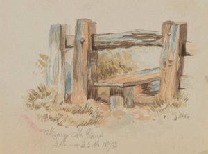 Zonder titel Stile, 1873 door Mary Vaux Walcott