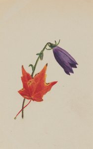 Zonder titel, ca. 1876 door Mary Vaux Walcott