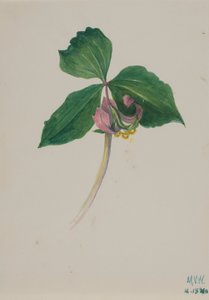 Zonder Titel, ca. 1920