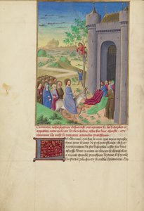De intocht in Jeruzalem