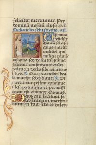Sint Sebastiaan