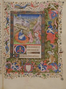 Geboorte, uit een Getijdenboek, c.1407 door Master of the Brussels Initials