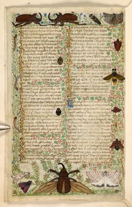 Add. 28841, f.4v: Motten en gehoornde kevers, uit een Verhandeling over de Deugden en Ondeugden, en een anonieme prozageschiedenis van Sicilië (fragment), c.1330-40 door Master of the Cocharelli Codex