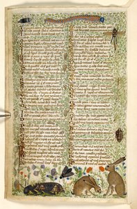 Konijnen en insecten, uit een Verhandeling over de Deugden en Ondeugden, en een anonieme prozageschiedenis van Sicilië
