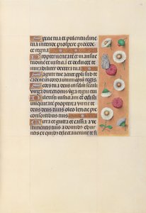Uren van Koningin Isabella de Katholieke, Koningin van Spanje:  Fol. 104r door Master of the First Prayerbook of Maximillian