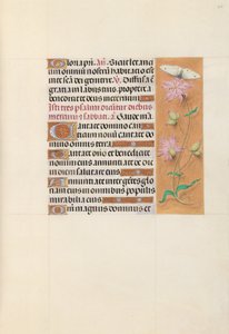 Uren van Koningin Isabella de Katholieke, Koningin van Spanje:  Fol. 107r door Master of the First Prayerbook of Maximillian