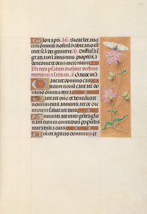 Getijdenboek van koningin Isabella de Katholieke, koningin van Spanje: Fol. 107r, ca. 1500 door Master of the First Prayerbook of Maximillian