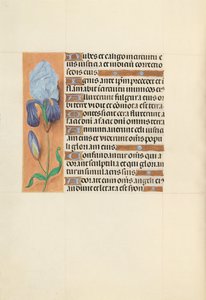 Getijdenboek van Koningin Isabella de Katholieke, Koningin van Spanje: Fol. 108v, ca. 1500