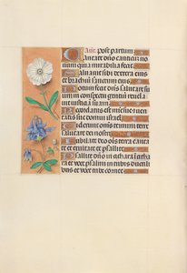 Getijdenboek van koningin Isabella de Katholieke, koningin van Spanje: Fol. 109v, ca. 1500