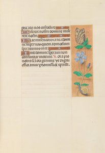 Getijdenboek van koningin Isabella de Katholieke, koningin van Spanje: Fol. 114r door Master of the First Prayerbook of Maximillian
