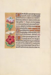 Getijdenboek van koningin Isabella de Katholieke, koningin van Spanje: Fol. 129v, ca. 1500 door Master of the First Prayerbook of Maximillian