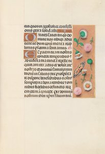Uren van Koningin Isabella de Katholieke, Koningin van Spanje: Fol. 145r door Master of the First Prayerbook of Maximillian