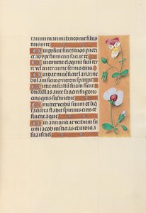 Uren van Koningin Isabella de Katholieke, Koningin van Spanje: Fol. 150r, c. 1500 door Master of the First Prayerbook of Maximillian