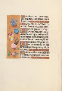 Getijdenboek van koningin Isabella de Katholieke, koningin van Spanje: Fol. 150v, ca. 1500 door Master of the First Prayerbook of Maximillian