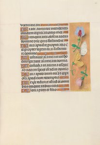 Uren van koningin Isabella de Katholieke, koningin van Spanje: Fol. 156r, c. 1500 door Master of the First Prayerbook of Maximillian