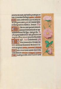 Getijdenboek van Koningin Isabella de Katholieke, Koningin van Spanje: Fol. 157r, c. 1500