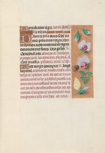 Uren van koningin Isabella de Katholieke, koningin van Spanje: Fol. 165r door Master of the First Prayerbook of Maximillian