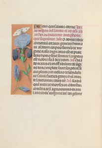 Getijdenboek van Koningin Isabella de Katholieke, Koningin van Spanje: Fol. 165v, ca. 1500