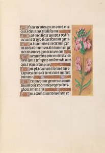 Uren van Koningin Isabella de Katholieke, Koningin van Spanje: Fol. 207r, ca. 1500