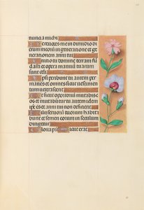 Getijdenboek van Koningin Isabella de Katholieke, Koningin van Spanje: Fol. 208r