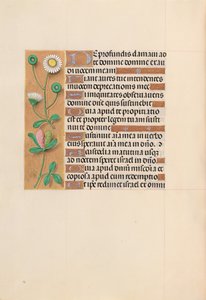Getijdenboek van Koningin Isabella de Katholieke, Koningin van Spanje: Fol. 208v door Master of the First Prayerbook of Maximillian