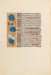 Uren van koningin Isabella de Katholieke, koningin van Spanje: Fol. 213v door Master of the First Prayerbook of Maximillian
