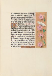 Getijdenboek van koningin Isabella de Katholieke, koningin van Spanje: Fol. 21r, ca. 1500 door Master of the First Prayerbook of Maximillian