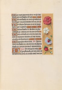 Getijdenboek van Koningin Isabella de Katholieke, Koningin van Spanje: Fol. 222r door Master of the First Prayerbook of Maximillian