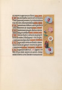 Getijdenboek van Koningin Isabella de Katholieke, Koningin van Spanje: Fol. 225r, ca. 1500 door Master of the First Prayerbook of Maximillian