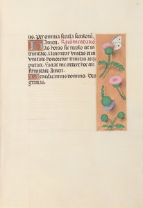 Uren van koningin Isabella de Katholieke, koningin van Spanje: Fol. 23r door Master of the First Prayerbook of Maximillian