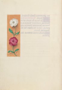 Uren van koningin Isabella de Katholieke, koningin van Spanje: Fol. 23v, ca. 1500 door Master of the First Prayerbook of Maximillian