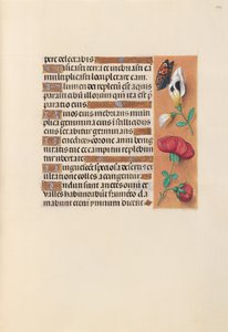 Uren van Koningin Isabella de Katholieke, Koningin van Spanje: Fol. 249r door Master of the First Prayerbook of Maximillian