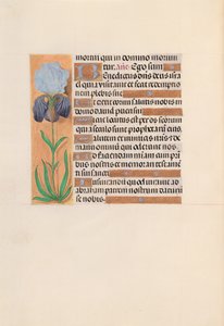 Getijdenboek van Koningin Isabella de Katholieke, Koningin van Spanje: Fol. 254v