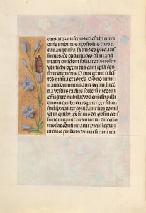 Getijdenboek van koningin Isabella de Katholieke, koningin van Spanje: Fol. 262v, ca. 1500 door Master of the First Prayerbook of Maximillian