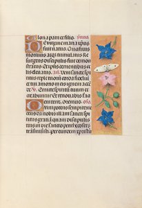 Getijdenboek van koningin Isabella de Katholieke, koningin van Spanje: Fol. 33r door Master of the First Prayerbook of Maximillian
