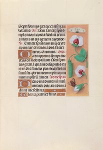 Getijdenboek van Koningin Isabella de Katholieke, Koningin van Spanje: Fol. 35r, ca. 1500 door Master of the First Prayerbook of Maximillian