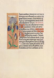 Getijdenboek van Koningin Isabella de Katholieke, Koningin van Spanje: Fol. 45v, ca. 1500