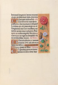 Uren van Koningin Isabella de Katholieke, Koningin van Spanje:  Fol. 46r door Master of the First Prayerbook of Maximillian