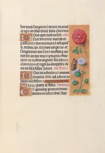 Getijdenboek van koningin Isabella de Katholieke, koningin van Spanje: Fol. 46r door Master of the First Prayerbook of Maximillian